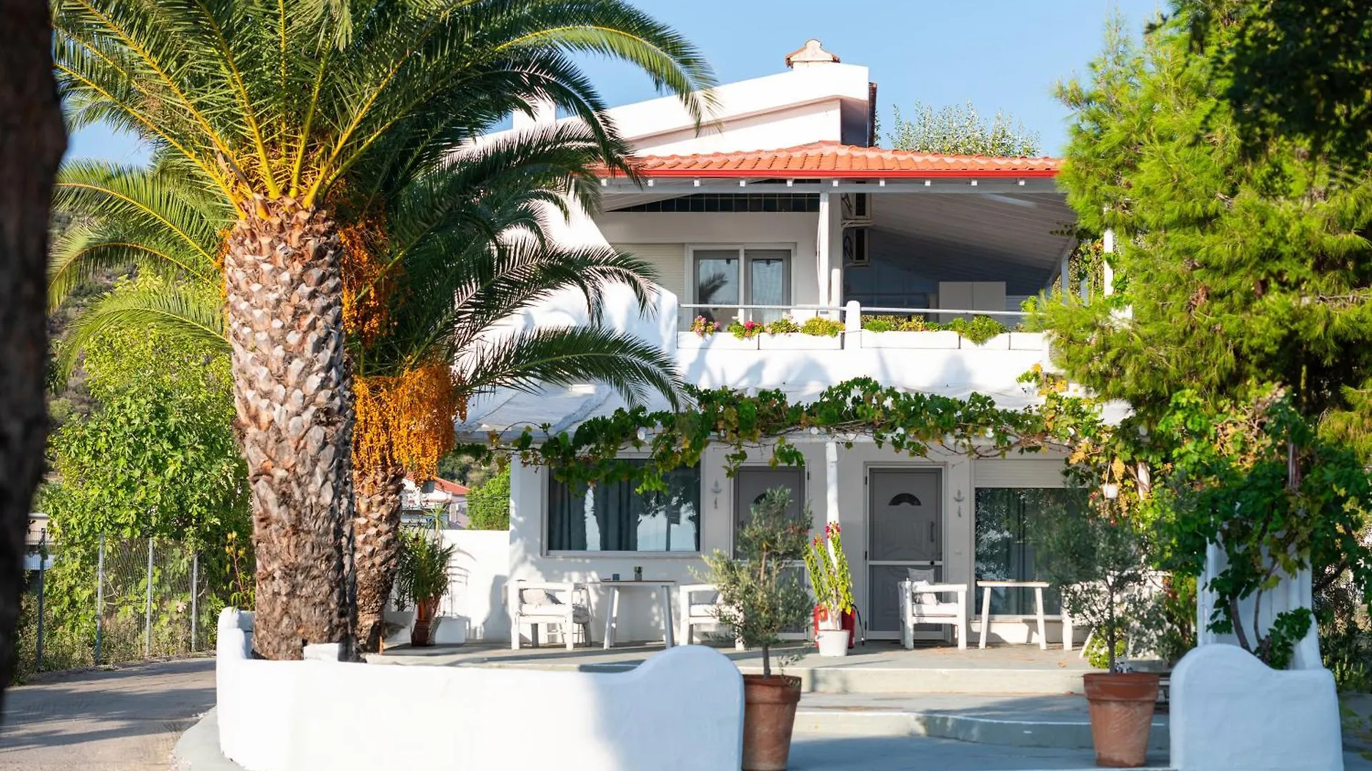 Acapus Studios Toroni